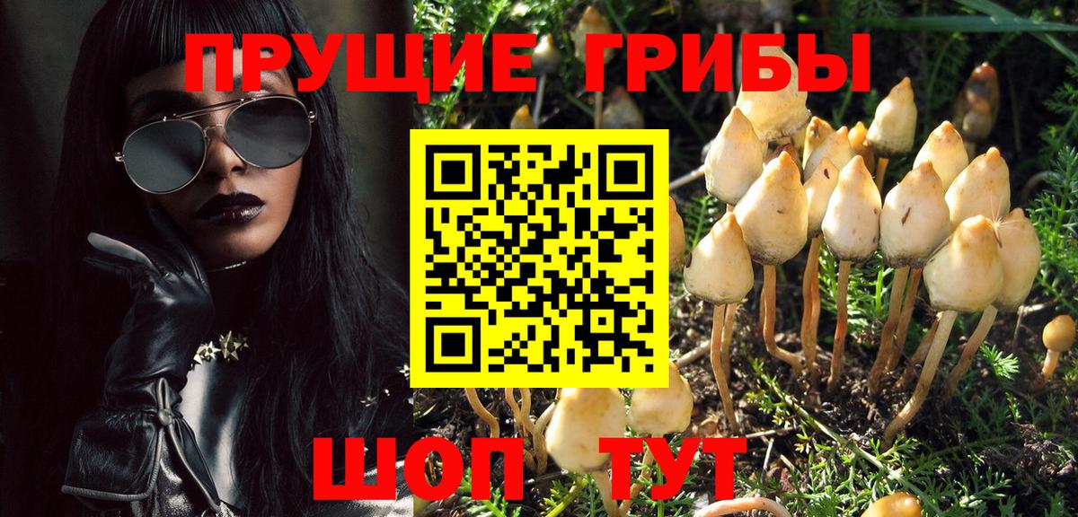 Рузаевка  Галлюциногенные грибы Magic Shrooms  Вход с VPN 